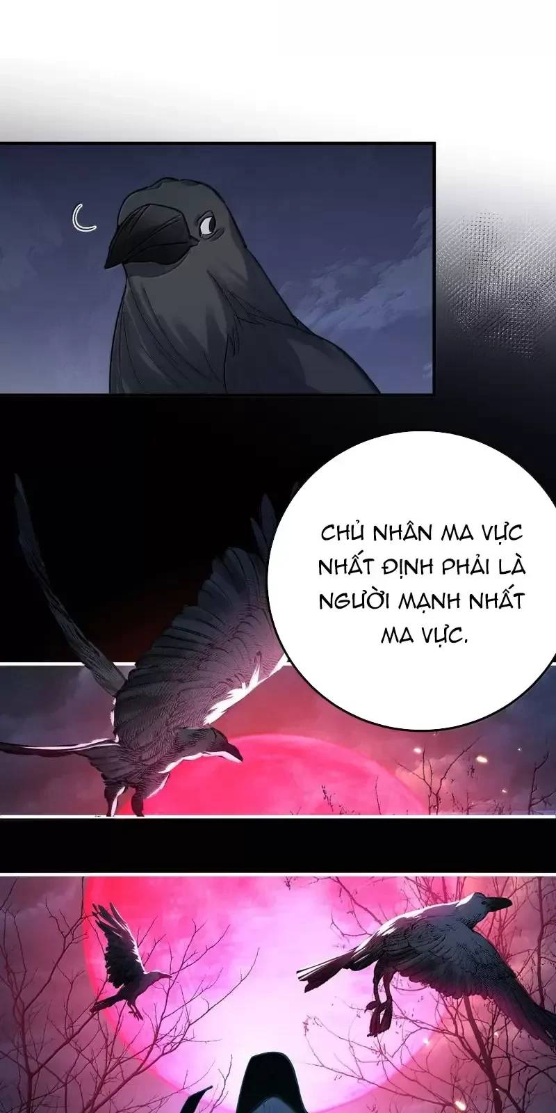 Ta Vô Địch Lúc Nào Chapter 270 - Trang 3