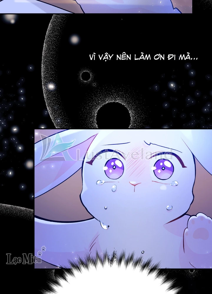 Mối Liên Kết Giữa Báo Đen Và Bé Thỏ Chapter 1 - Next Chapter 2