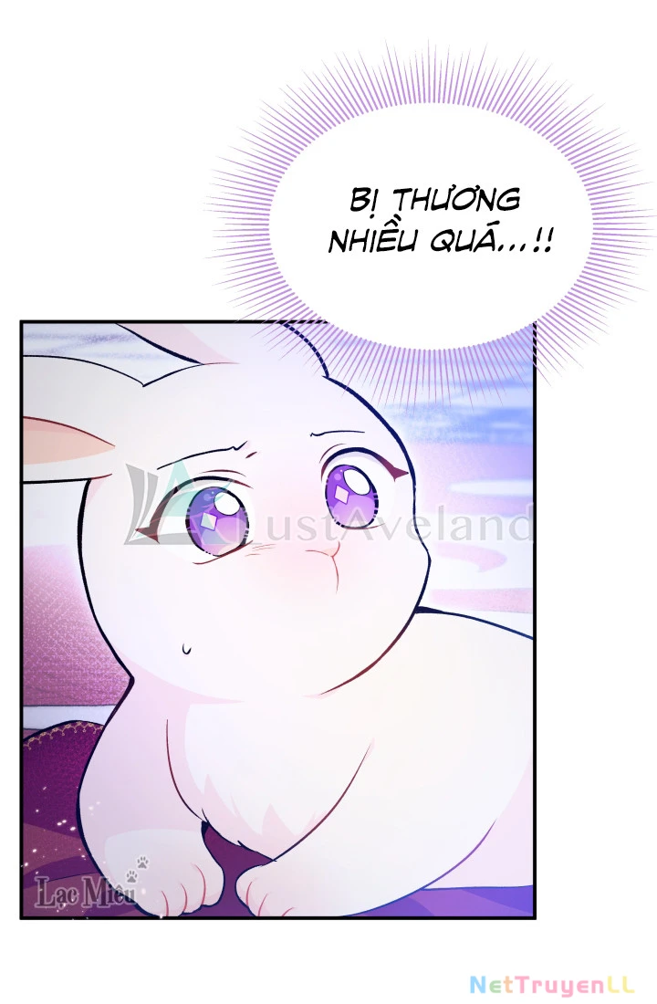 Mối Liên Kết Giữa Báo Đen Và Bé Thỏ Chapter 4 - Next Chapter 5