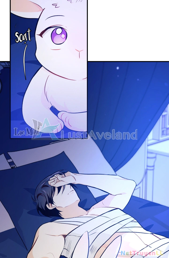 Mối Liên Kết Giữa Báo Đen Và Bé Thỏ Chapter 4 - Next Chapter 5