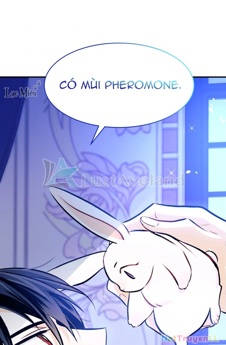 Mối Liên Kết Giữa Báo Đen Và Bé Thỏ Chapter 4 - Next Chapter 5