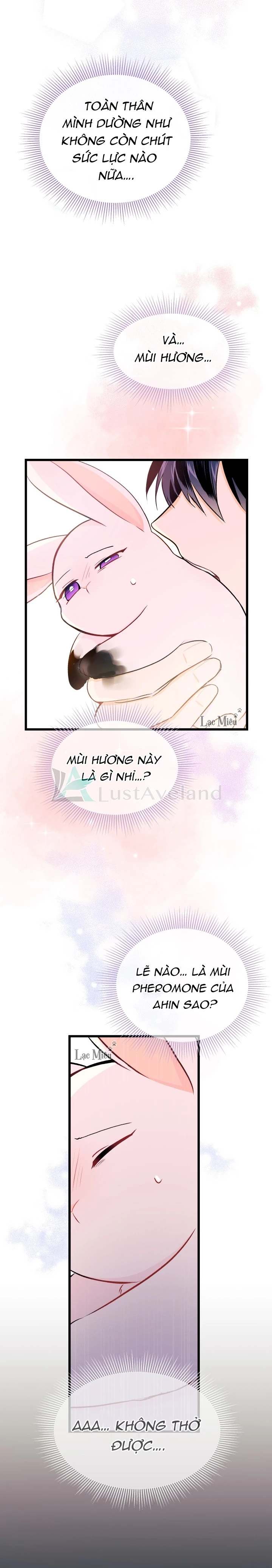 Mối Liên Kết Giữa Báo Đen Và Bé Thỏ Chapter 10 - Next Chapter 11