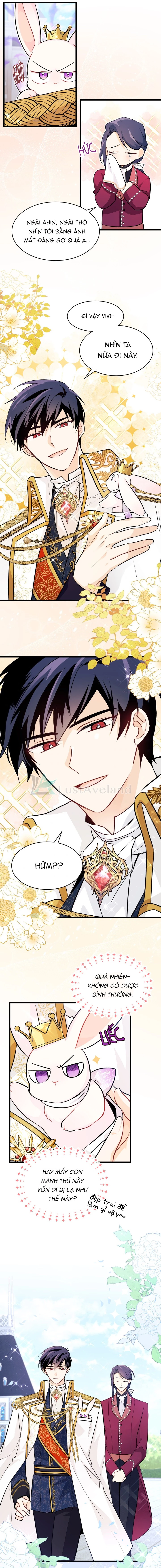 Mối Liên Kết Giữa Báo Đen Và Bé Thỏ Chapter 17 - Next Chapter 18