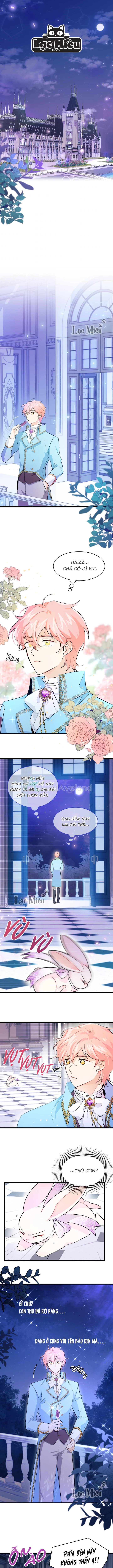 Mối Liên Kết Giữa Báo Đen Và Bé Thỏ Chapter 20 - Next Chapter 21