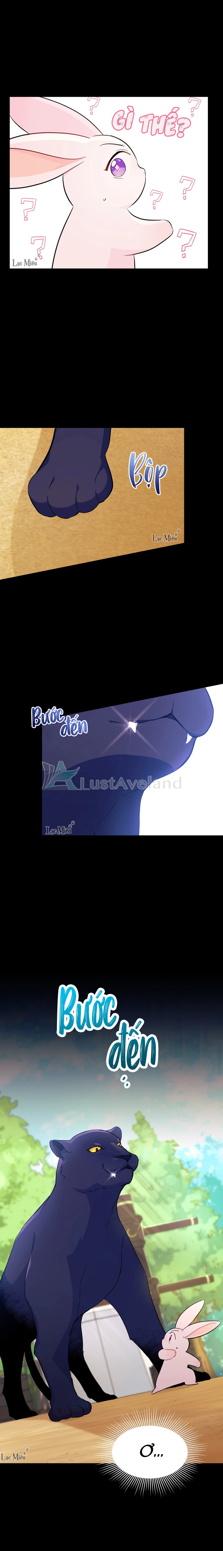 Mối Liên Kết Giữa Báo Đen Và Bé Thỏ Chapter 23 - Next Chapter 24
