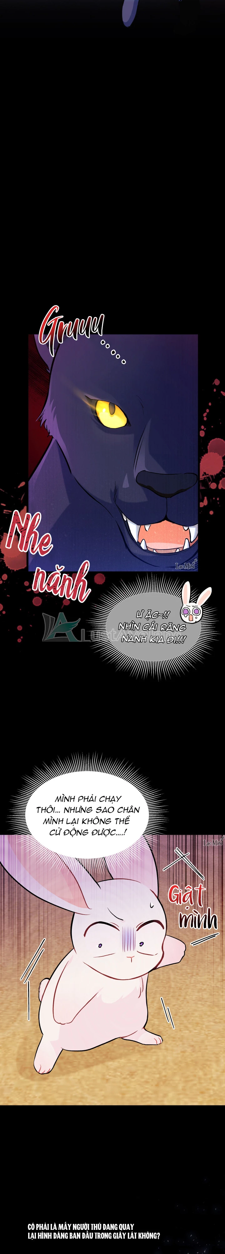 Mối Liên Kết Giữa Báo Đen Và Bé Thỏ Chapter 23 - Next Chapter 24