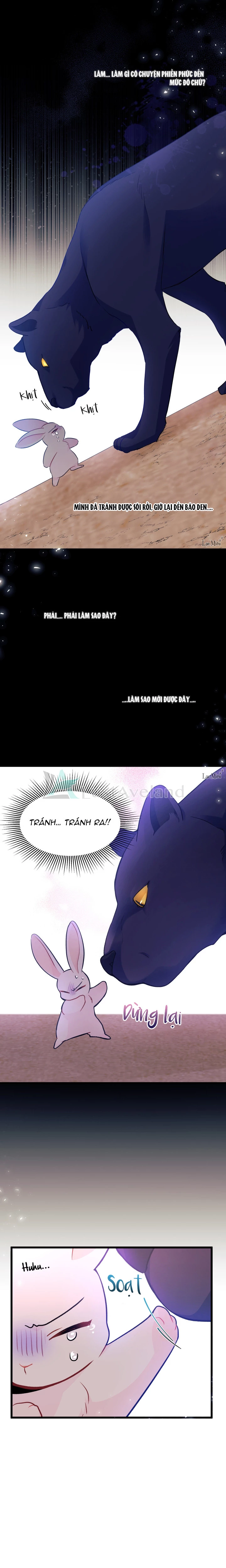 Mối Liên Kết Giữa Báo Đen Và Bé Thỏ Chapter 23 - Next Chapter 24