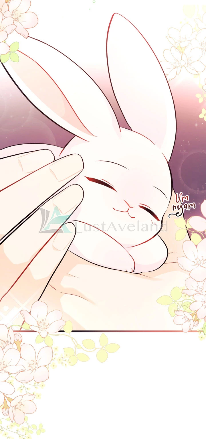 Mối Liên Kết Giữa Báo Đen Và Bé Thỏ Chapter 32 - Next Chapter 33