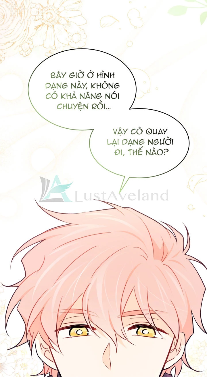 Mối Liên Kết Giữa Báo Đen Và Bé Thỏ Chapter 32 - Next Chapter 33