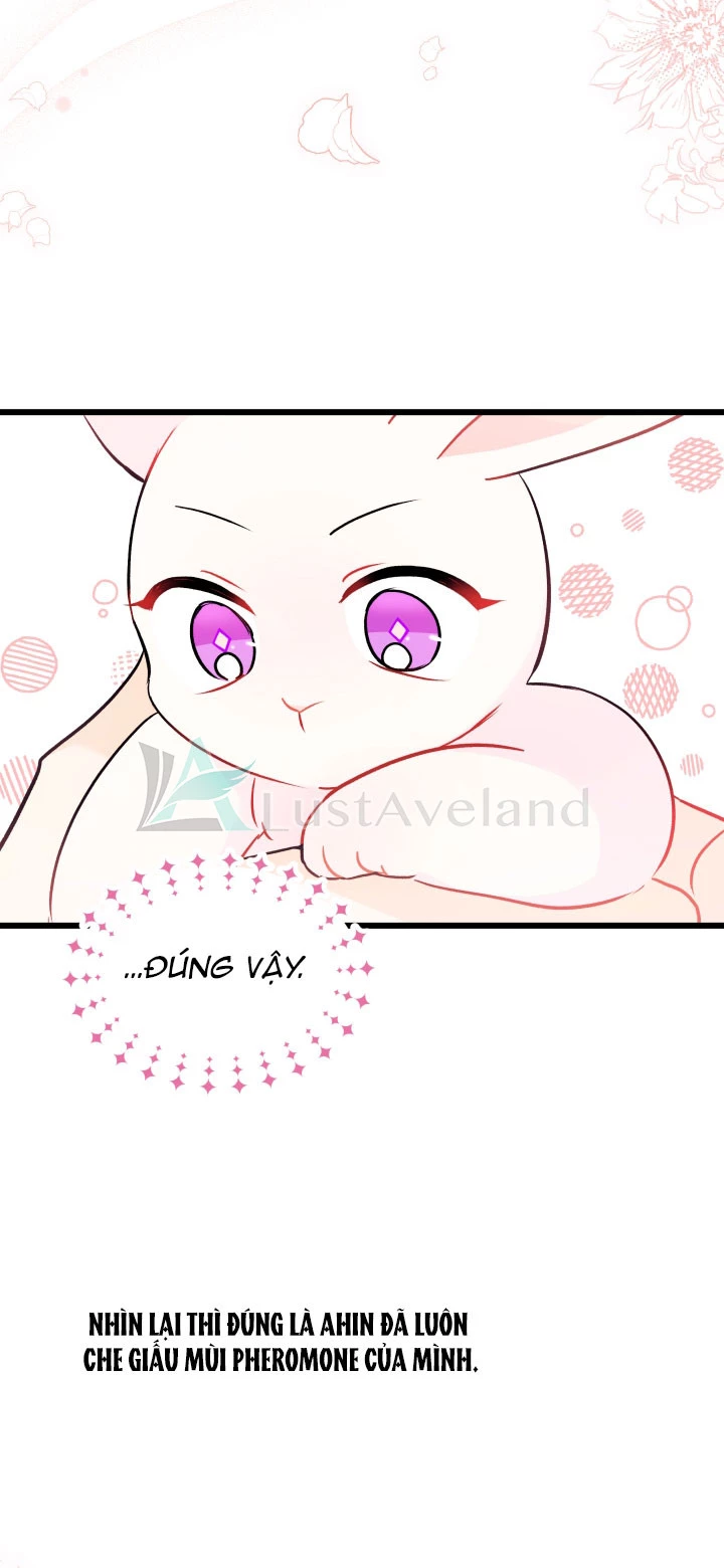Mối Liên Kết Giữa Báo Đen Và Bé Thỏ Chapter 32 - Next Chapter 33