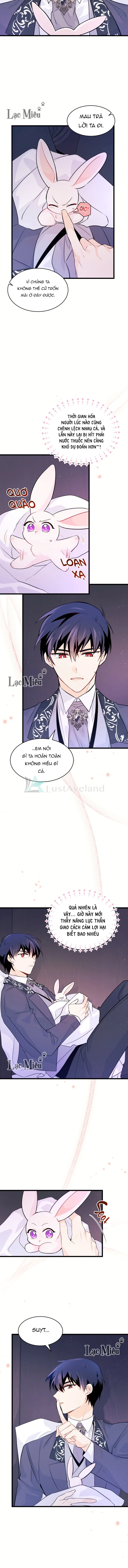 Mối Liên Kết Giữa Báo Đen Và Bé Thỏ Chapter 36 - Next Chapter 37