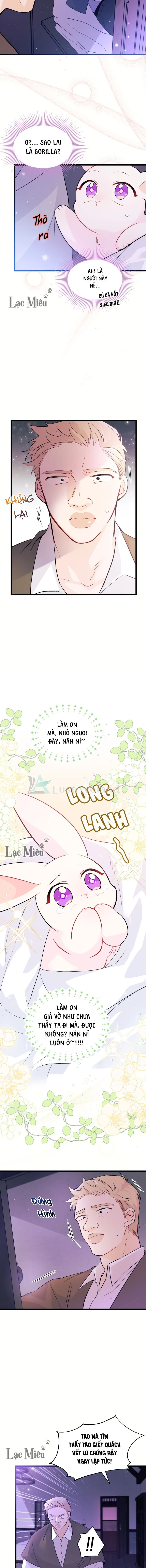 Mối Liên Kết Giữa Báo Đen Và Bé Thỏ Chapter 36 - Next Chapter 37