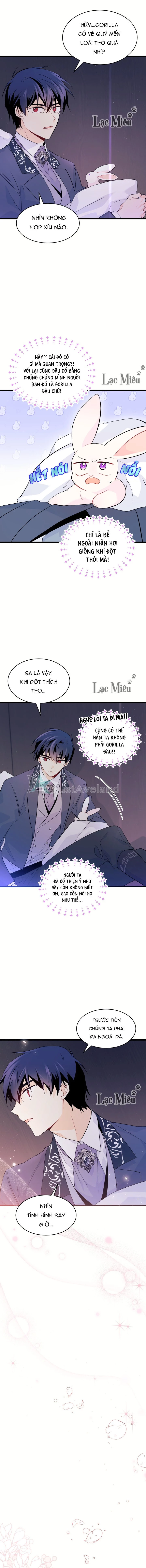 Mối Liên Kết Giữa Báo Đen Và Bé Thỏ Chapter 36 - Next Chapter 37