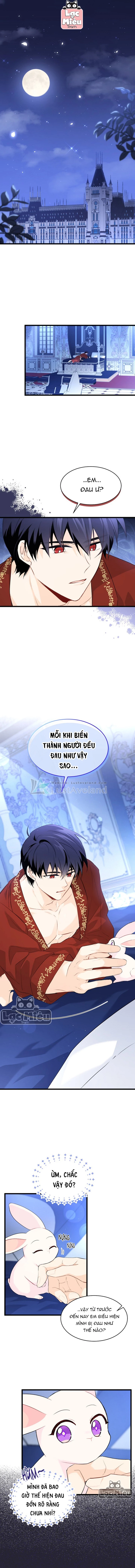 Mối Liên Kết Giữa Báo Đen Và Bé Thỏ Chapter 47 - Next Chapter 48