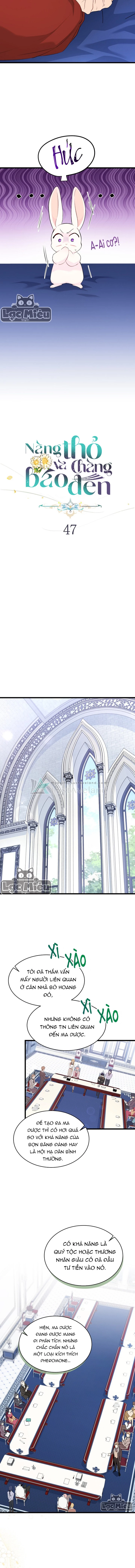 Mối Liên Kết Giữa Báo Đen Và Bé Thỏ Chapter 47 - Next Chapter 48