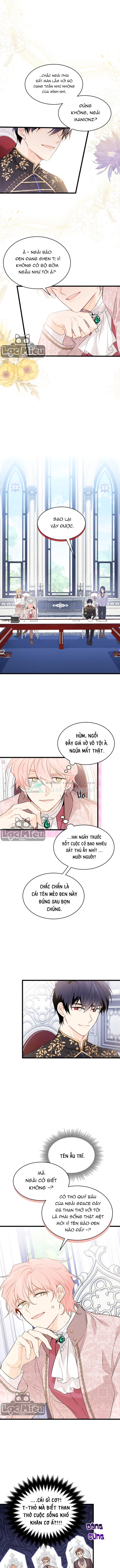 Mối Liên Kết Giữa Báo Đen Và Bé Thỏ Chapter 47 - Next Chapter 48