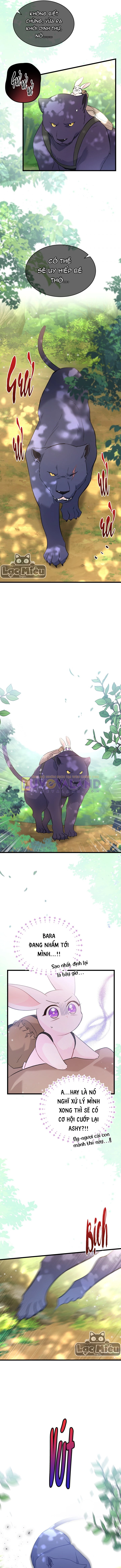 Mối Liên Kết Giữa Báo Đen Và Bé Thỏ Chapter 61 - Next Chapter 62