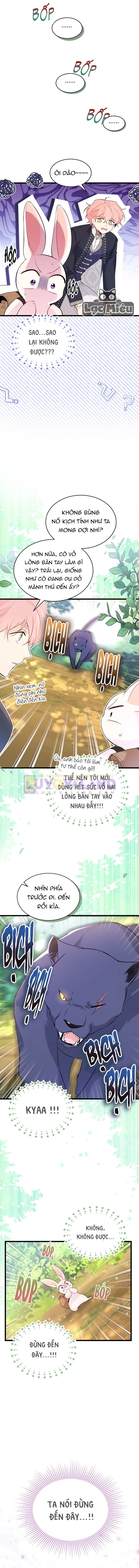 Mối Liên Kết Giữa Báo Đen Và Bé Thỏ Chapter 61 - Next Chapter 62
