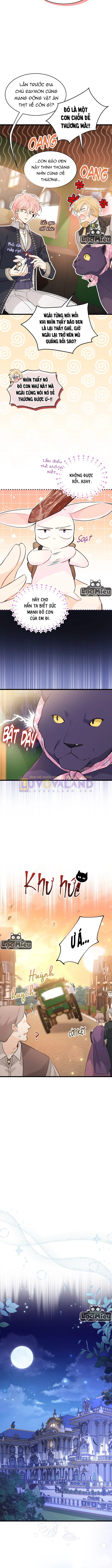 Mối Liên Kết Giữa Báo Đen Và Bé Thỏ Chapter 62 - Next Chapter 63