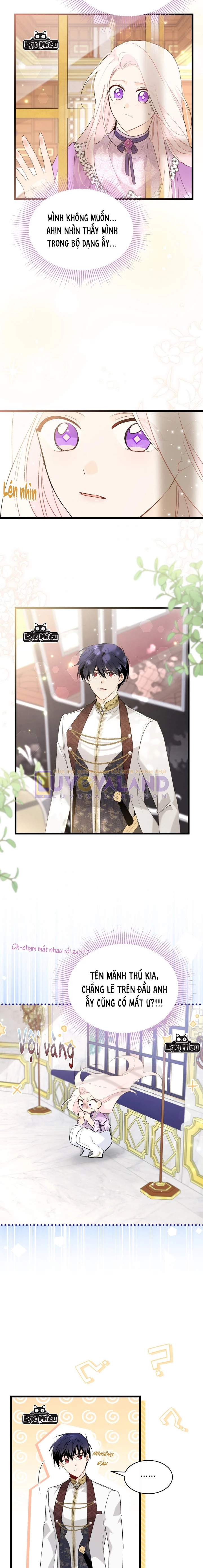 Mối Liên Kết Giữa Báo Đen Và Bé Thỏ Chapter 64 - Next Chapter 65