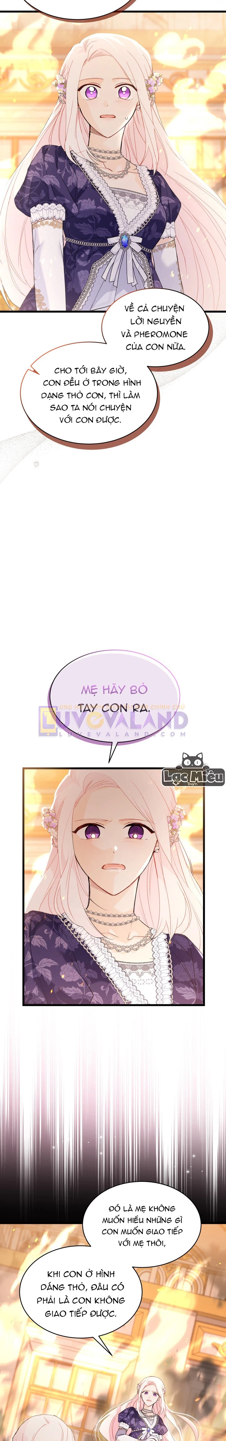 Mối Liên Kết Giữa Báo Đen Và Bé Thỏ Chapter 68 - Next Chapter 69