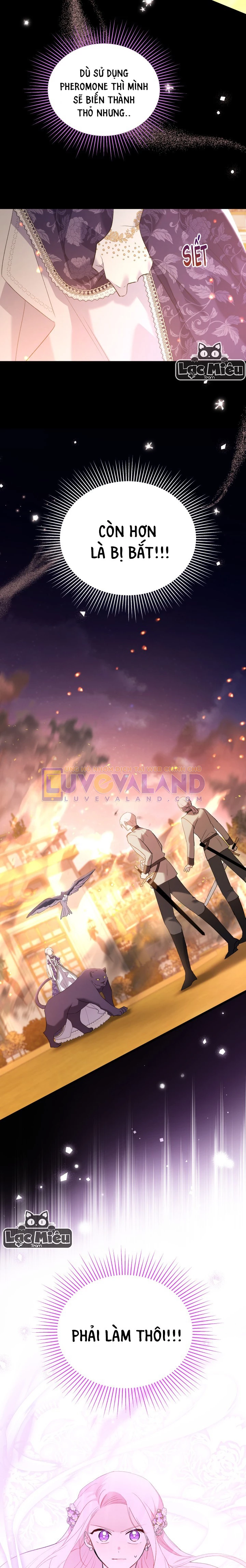 Mối Liên Kết Giữa Báo Đen Và Bé Thỏ Chapter 68 - Next Chapter 69