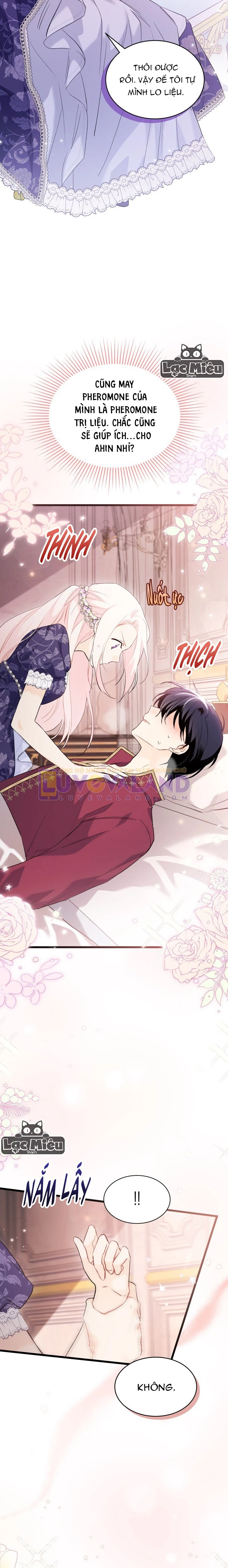 Mối Liên Kết Giữa Báo Đen Và Bé Thỏ Chapter 71 - Next Chapter 72