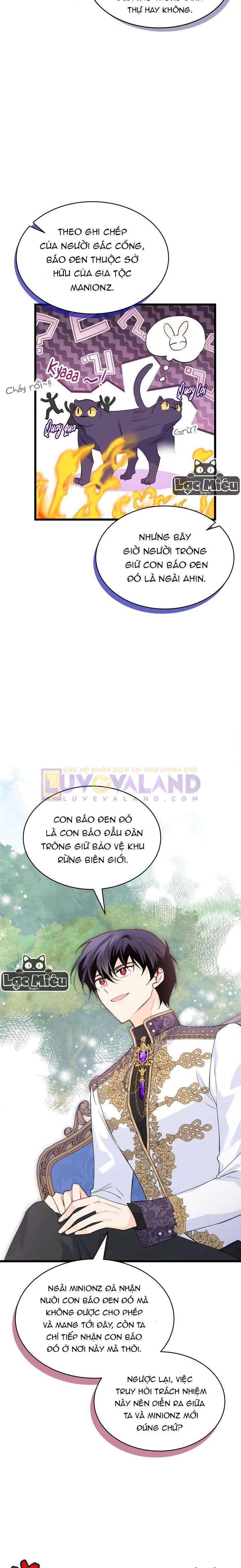 Mối Liên Kết Giữa Báo Đen Và Bé Thỏ Chapter 73 - Next Chapter 74