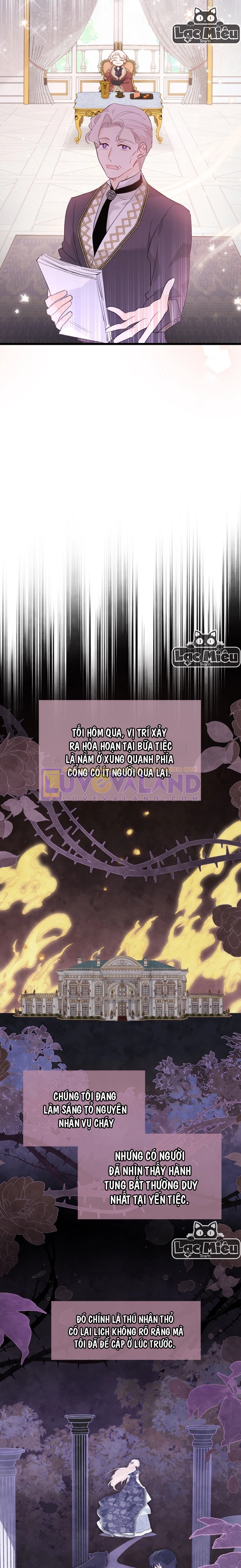 Mối Liên Kết Giữa Báo Đen Và Bé Thỏ Chapter 73 - Next Chapter 74