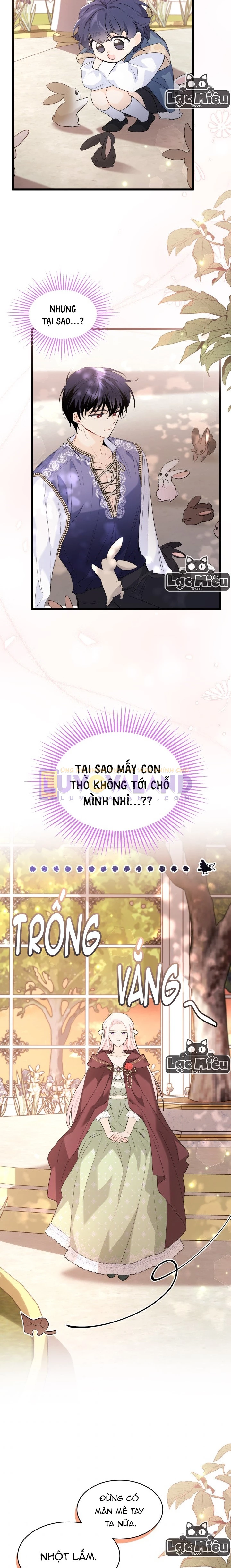 Mối Liên Kết Giữa Báo Đen Và Bé Thỏ Chapter 75 - Next Chapter 76