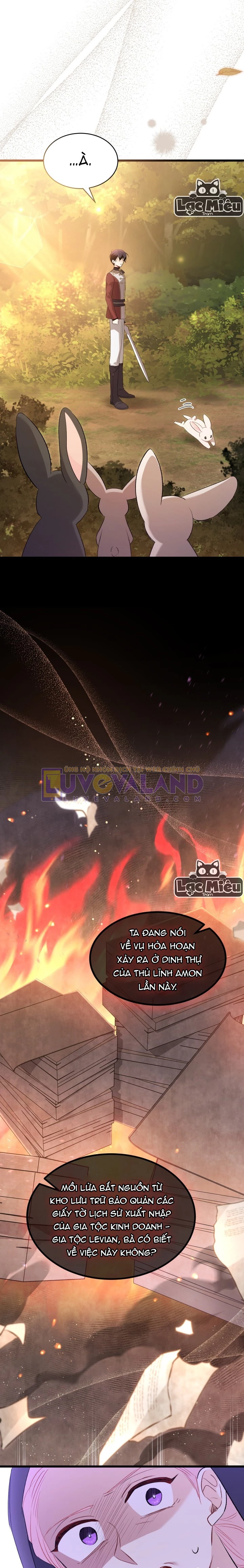Mối Liên Kết Giữa Báo Đen Và Bé Thỏ Chapter 81 - Next Chapter 82