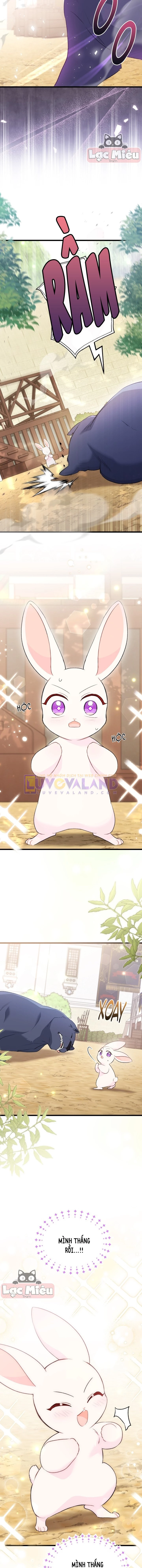 Mối Liên Kết Giữa Báo Đen Và Bé Thỏ Chapter 83 - Next Chapter 84