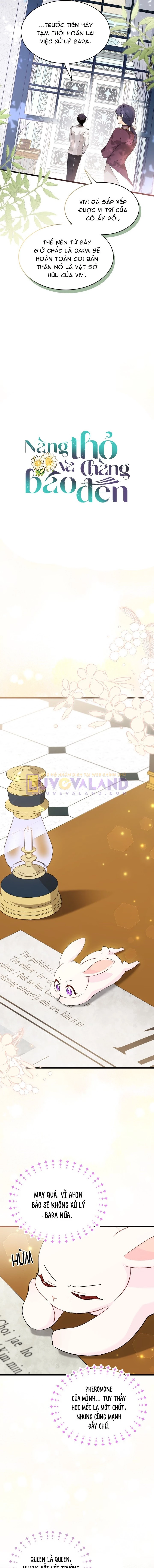 Mối Liên Kết Giữa Báo Đen Và Bé Thỏ Chapter 83 - Next Chapter 84