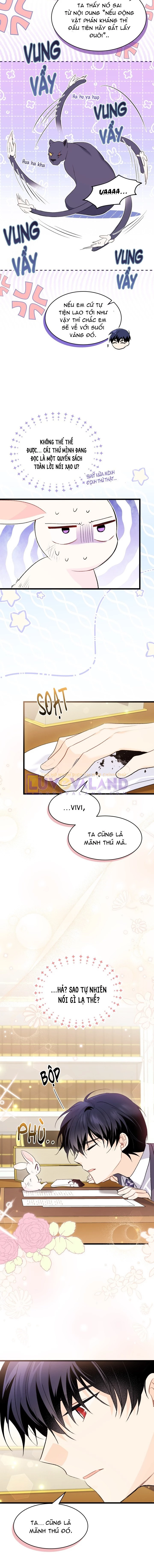 Mối Liên Kết Giữa Báo Đen Và Bé Thỏ Chapter 83 - Next Chapter 84