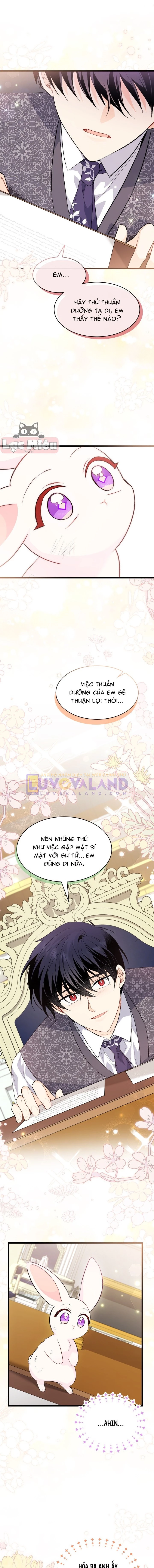 Mối Liên Kết Giữa Báo Đen Và Bé Thỏ Chapter 83 - Next Chapter 84