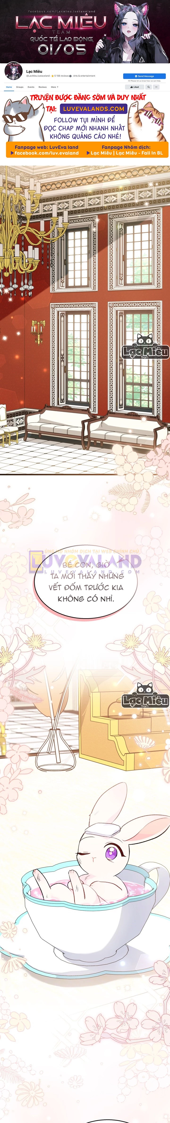 Mối Liên Kết Giữa Báo Đen Và Bé Thỏ Chapter 84 - Next Chapter 85