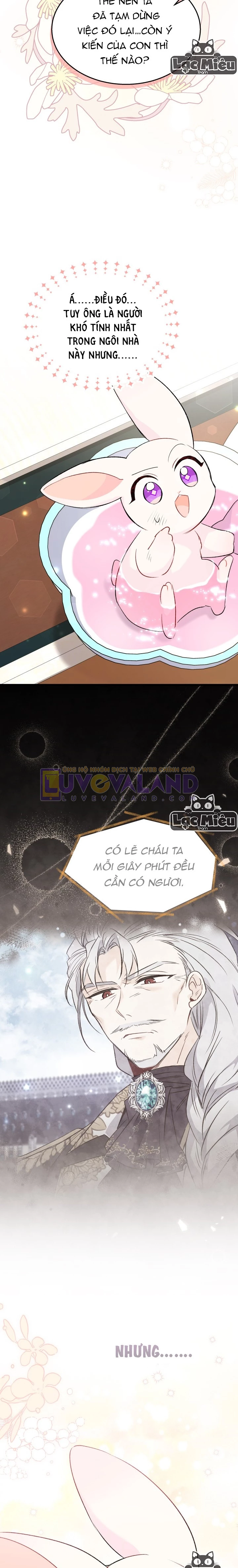 Mối Liên Kết Giữa Báo Đen Và Bé Thỏ Chapter 84 - Next Chapter 85