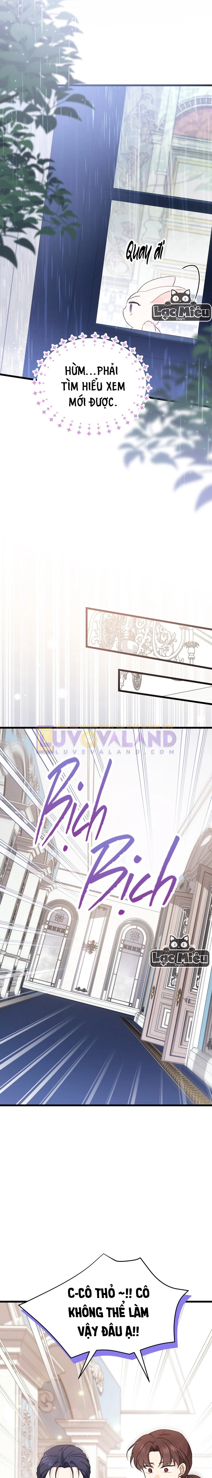 Mối Liên Kết Giữa Báo Đen Và Bé Thỏ Chapter 84 - Next Chapter 85