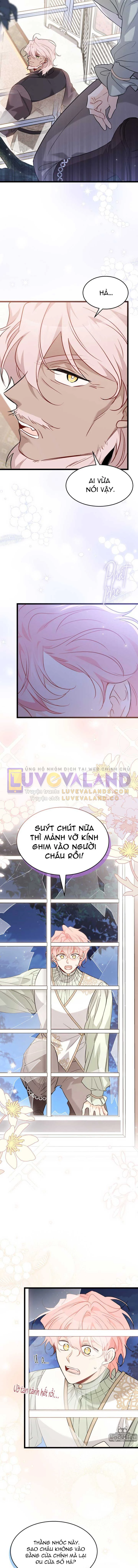 Mối Liên Kết Giữa Báo Đen Và Bé Thỏ Chapter 100 - Next Chapter 101