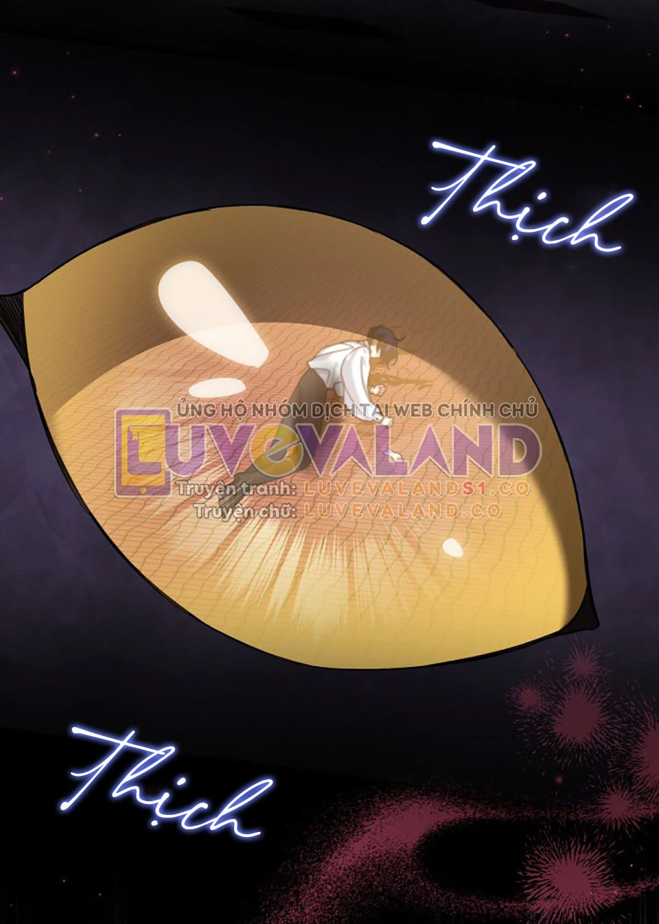 Mối Liên Kết Giữa Báo Đen Và Bé Thỏ Chapter 115 - Next Chapter 116