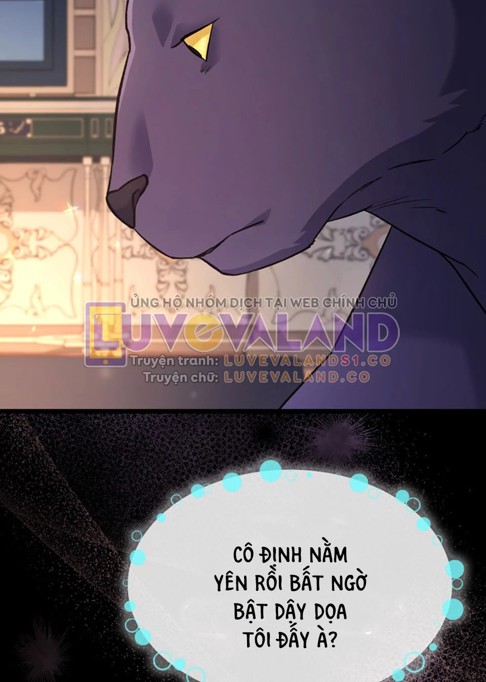 Mối Liên Kết Giữa Báo Đen Và Bé Thỏ Chapter 115 - Next Chapter 116