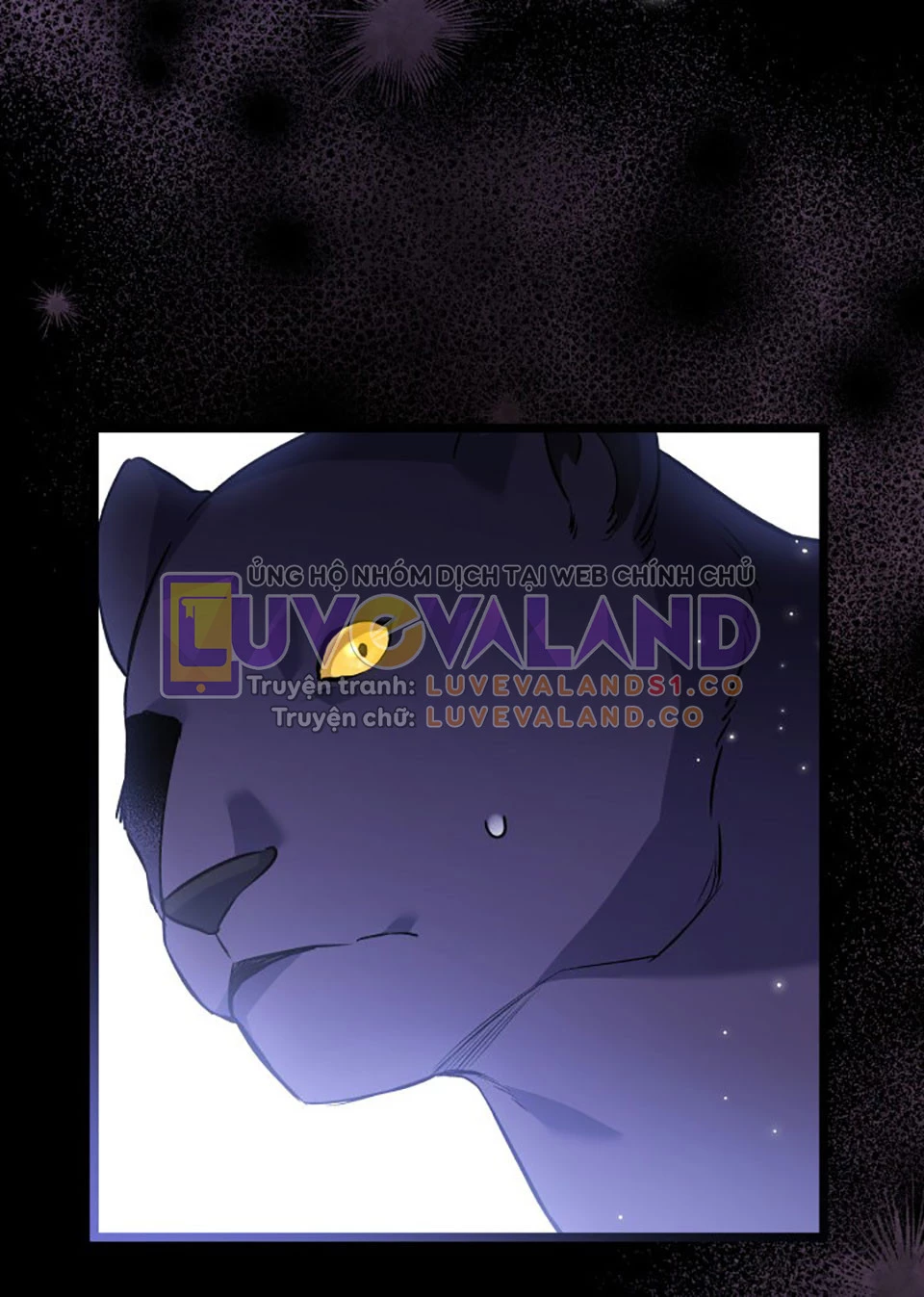 Mối Liên Kết Giữa Báo Đen Và Bé Thỏ Chapter 115 - Next Chapter 116