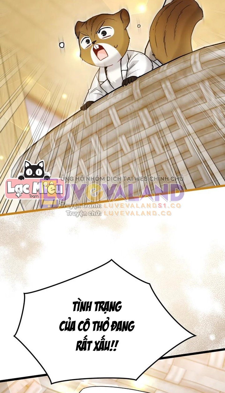 Mối Liên Kết Giữa Báo Đen Và Bé Thỏ Chapter 122 - Next Chapter 123