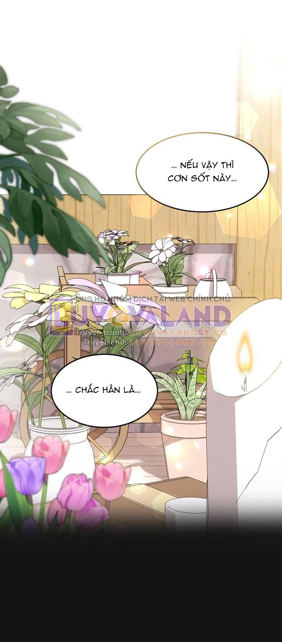 Mối Liên Kết Giữa Báo Đen Và Bé Thỏ Chapter 122 - Next Chapter 123