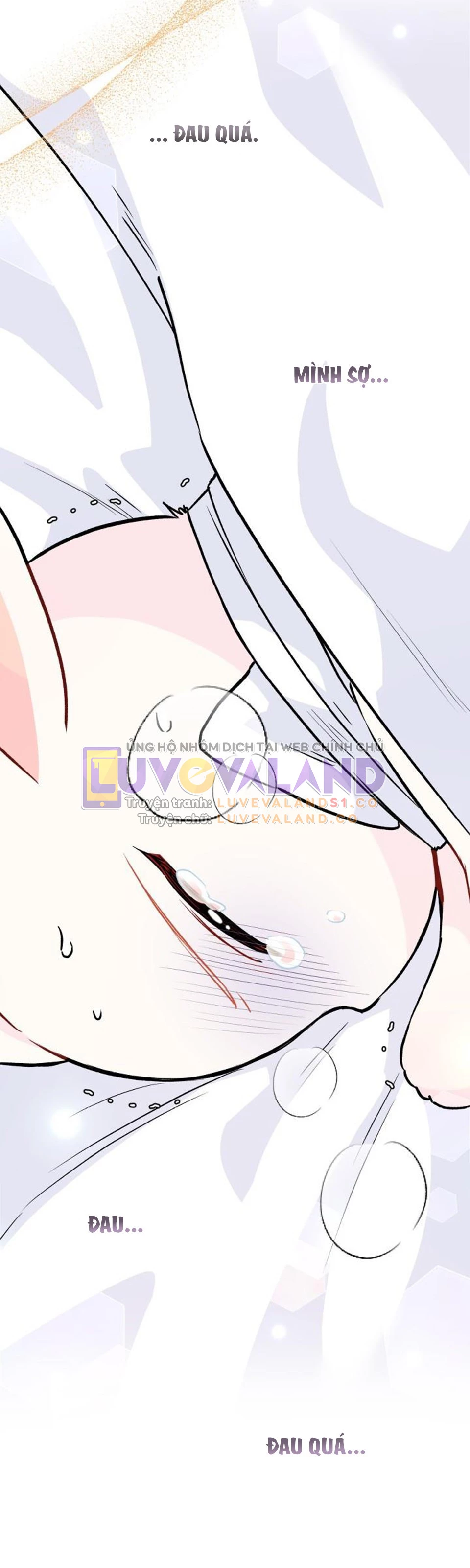 Mối Liên Kết Giữa Báo Đen Và Bé Thỏ Chapter 122 - Next Chapter 123