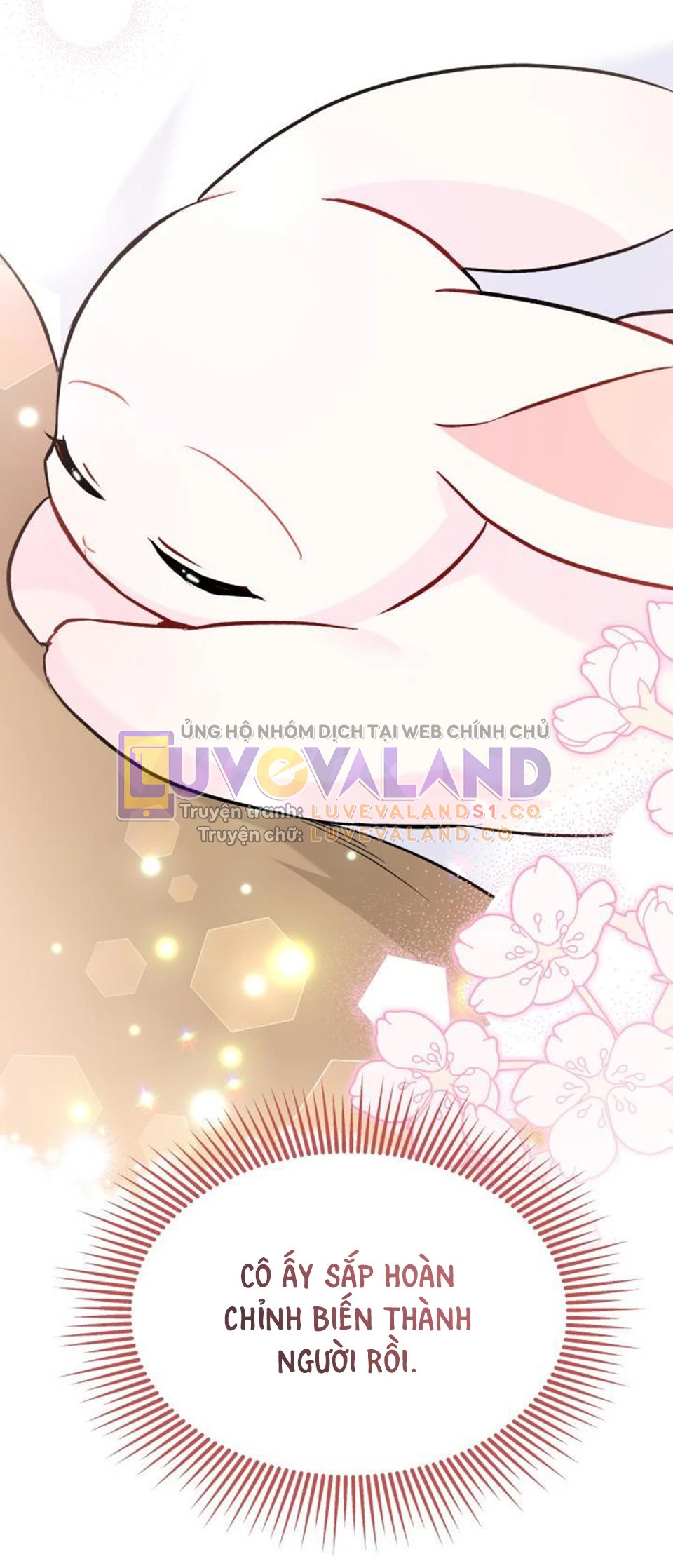 Mối Liên Kết Giữa Báo Đen Và Bé Thỏ Chapter 122 - Next Chapter 123