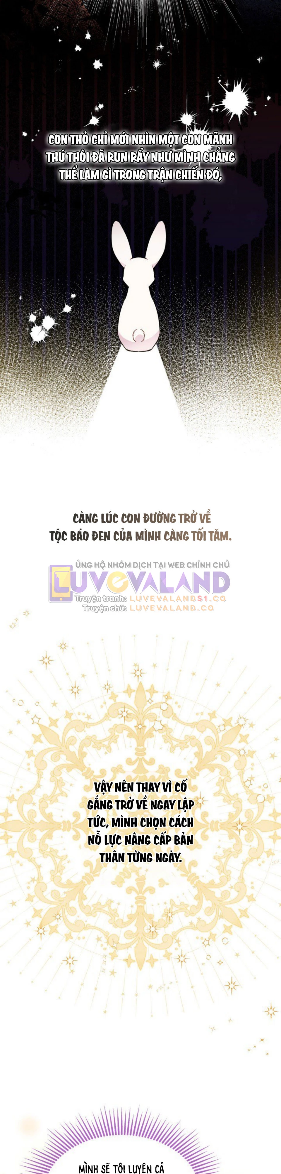Mối Liên Kết Giữa Báo Đen Và Bé Thỏ Chapter 127 - Next Chapter 128