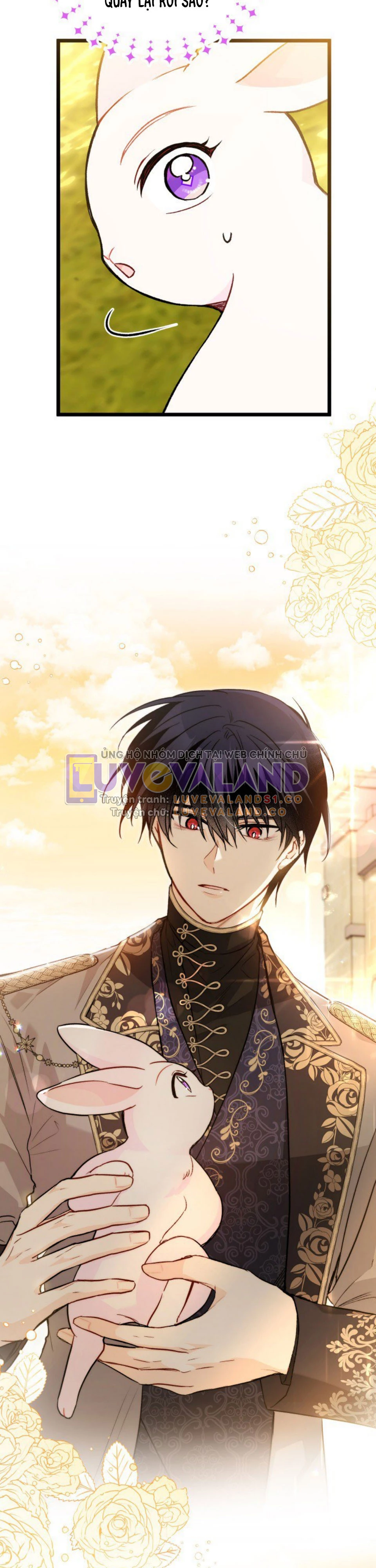 Mối Liên Kết Giữa Báo Đen Và Bé Thỏ Chapter 127 - Next Chapter 128