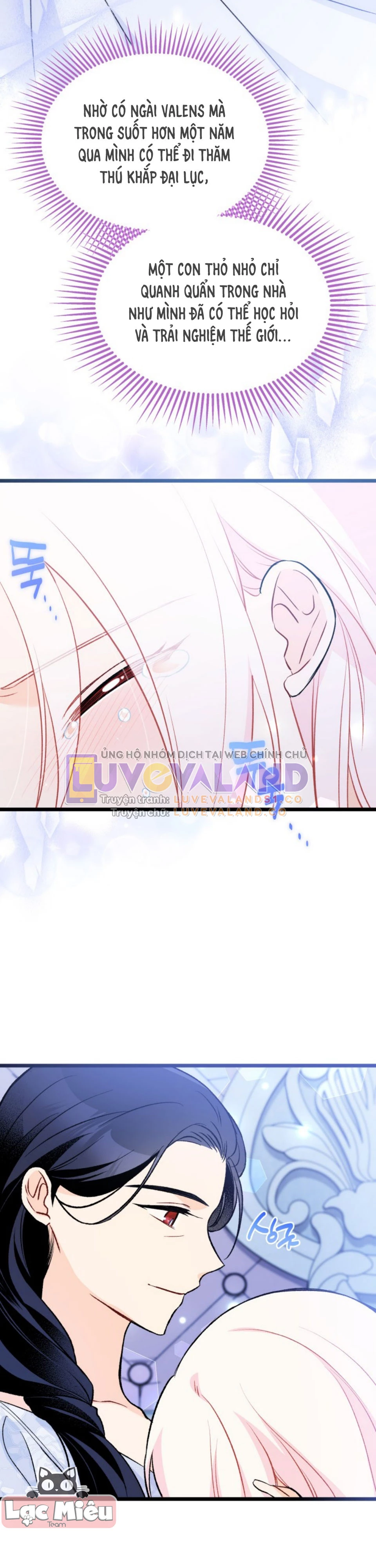 Mối Liên Kết Giữa Báo Đen Và Bé Thỏ Chapter 139 - Next Chapter 140