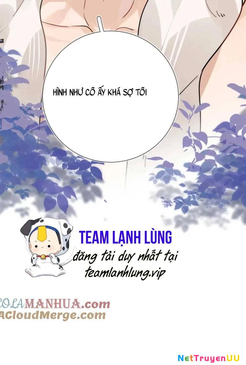 Tỏ Tình Chapter 16 - Trang 4